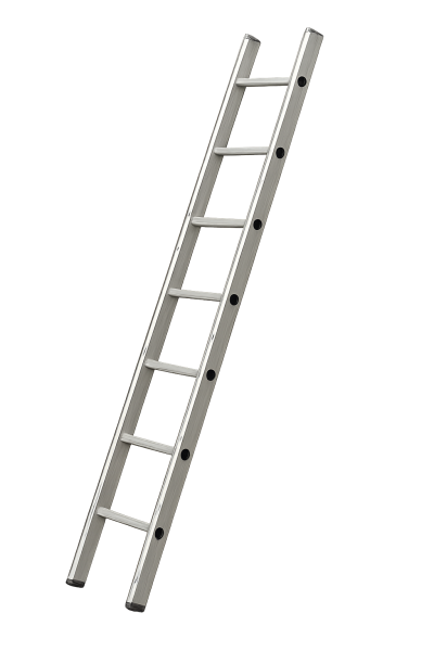 zebrik